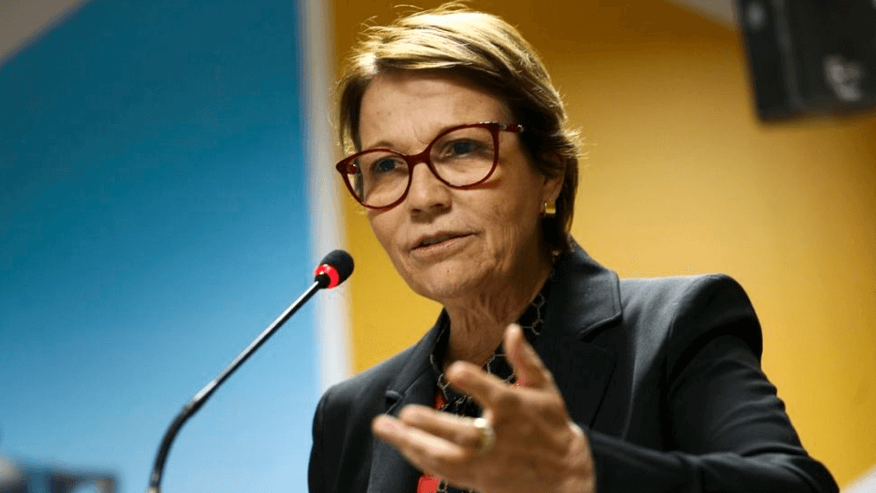 Jogo dos 7 erros da entrevista da ministra Tereza Cristina – Grupo